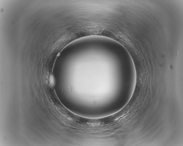 X0000060750693200511141159