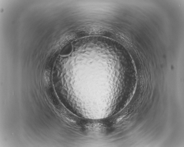 X0000060750695200511141159