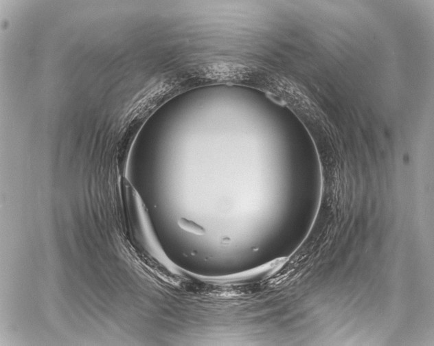 X0000060750696200511141159