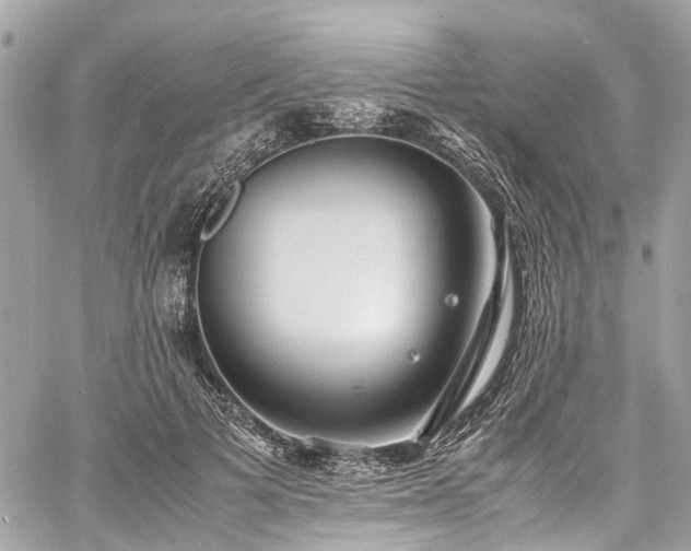 X0000060750697200511141159