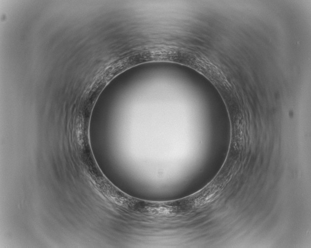 X0000060750698200511141159