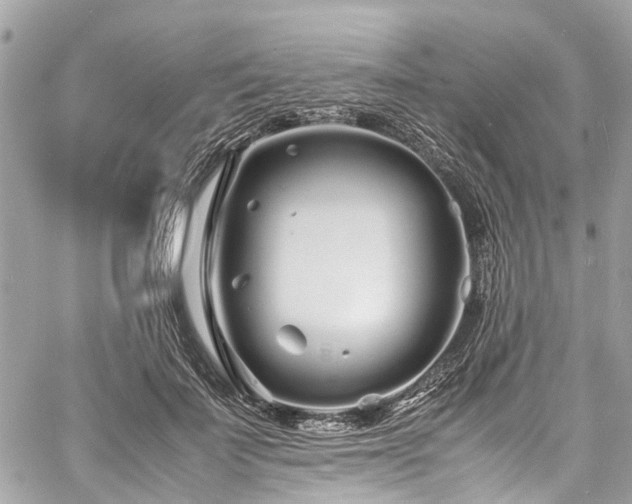 X0000060750699200511141159