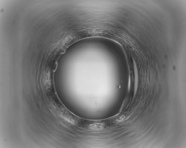 X0000060750700200511141159