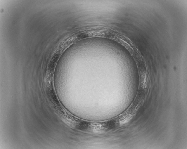 X0000060750701200511141159