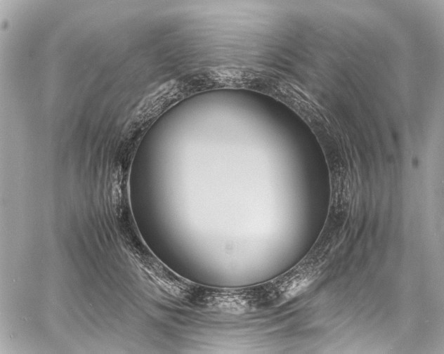 X0000060750702200511141159