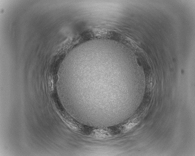 X0000060750703200511141159