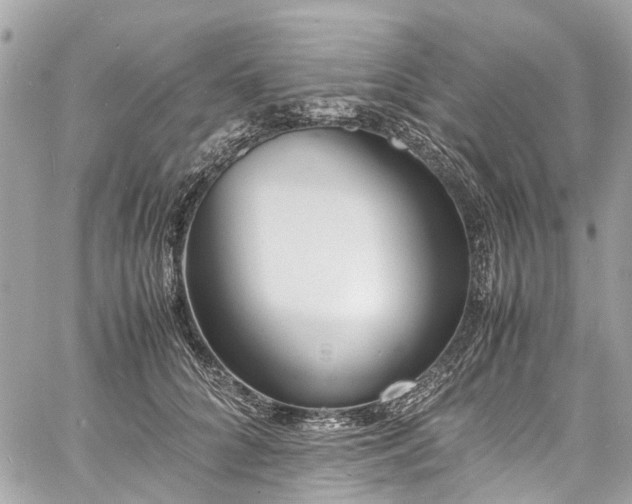 X0000060750704200511141159