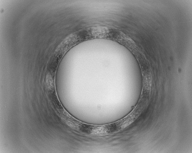 X0000060750705200511141159