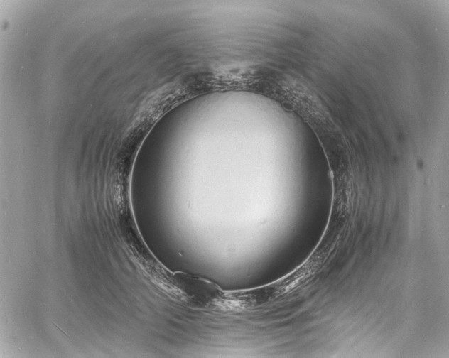 X0000060750706200511141159