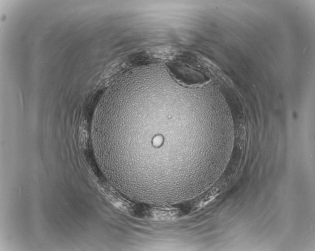 X0000060750707200511141159