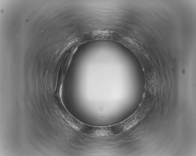 X0000060750708200511141159