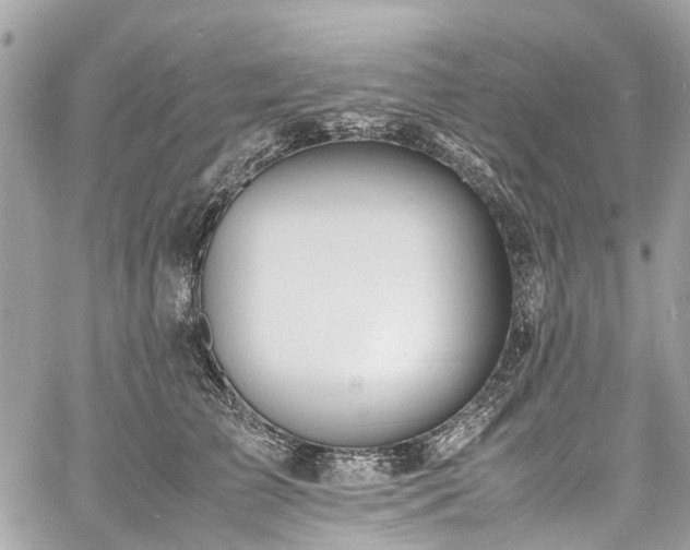 X0000060750709200511141159