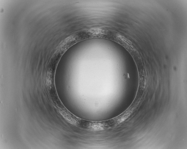 X0000060750710200511141159