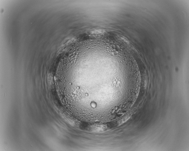 X0000060750711200511141159