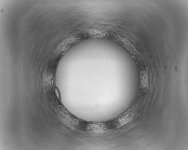 X0000060750713200511141159