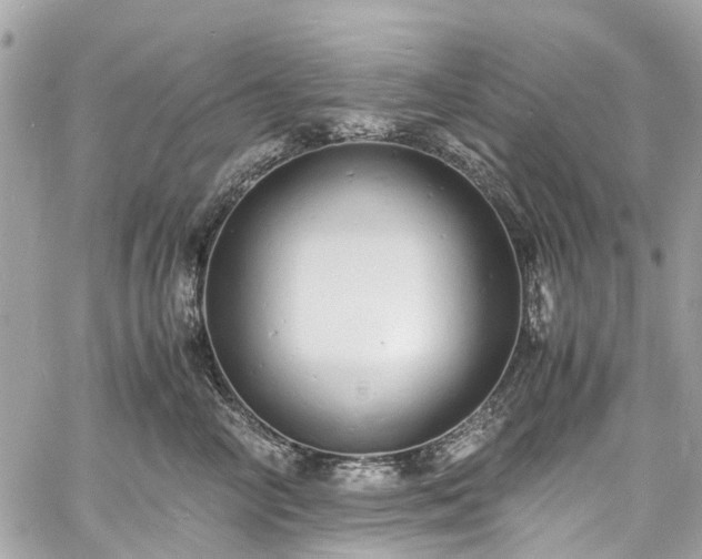 X0000060750714200511141159