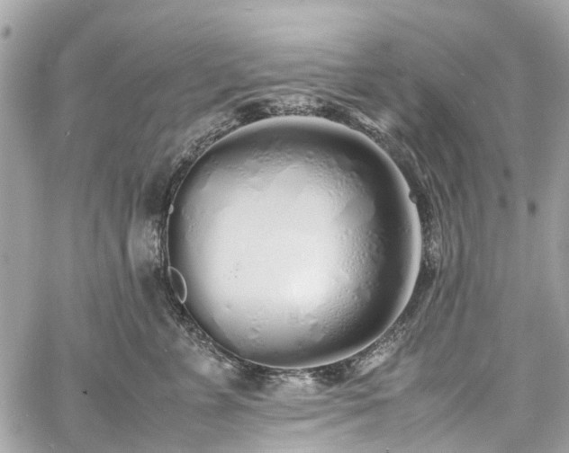 X0000060750715200511141159