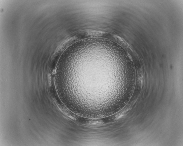 X0000060750716200511141159