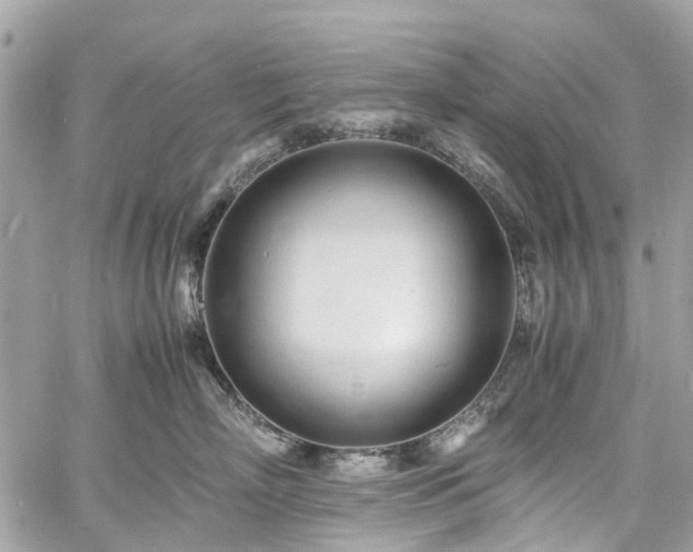 X0000060750718200511141159