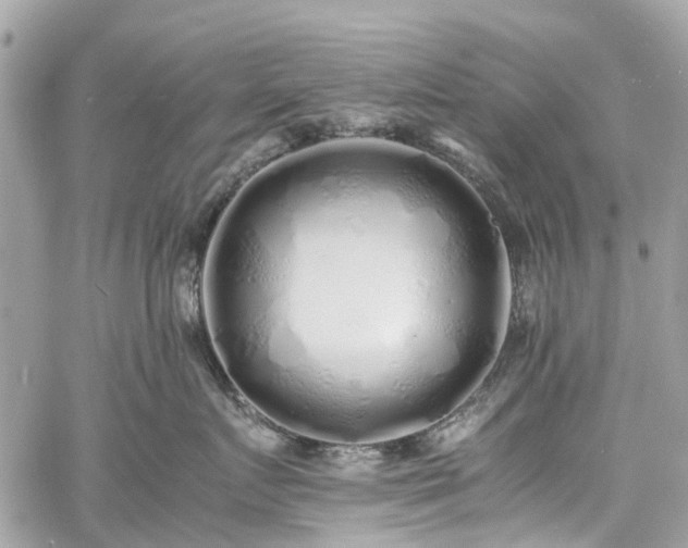 X0000060750719200511141159