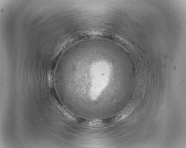 X0000060750720200511141159