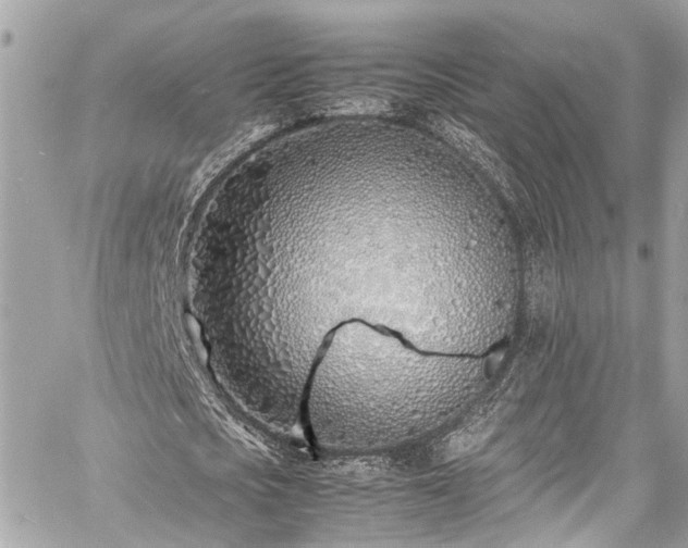 X0000060750721200511141158