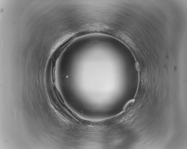 X0000060750722200511141158