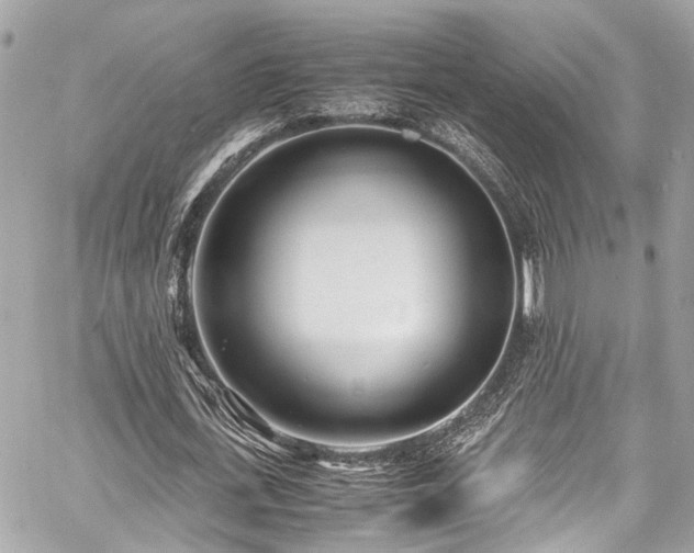 X0000060750723200511141158