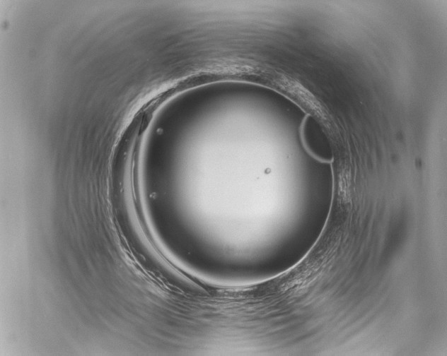 X0000060750724200511141158