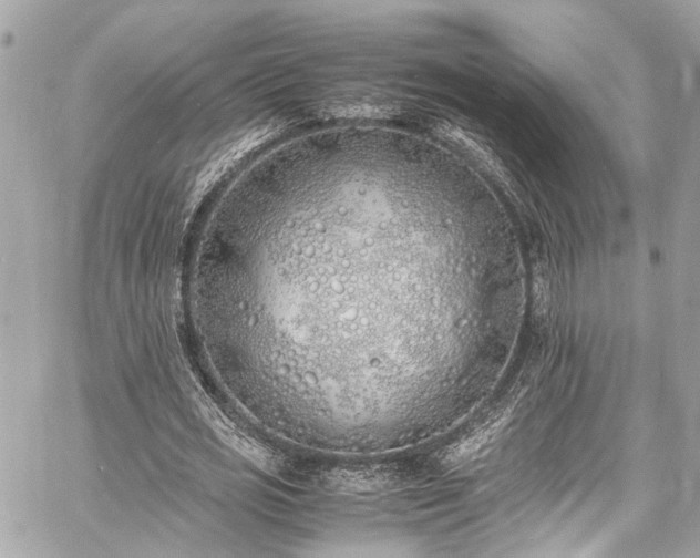 X0000060750725200511141158