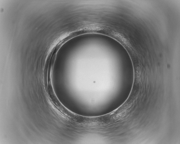 X0000060750726200511141158