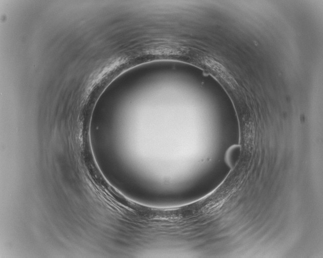 X0000060750727200511141158