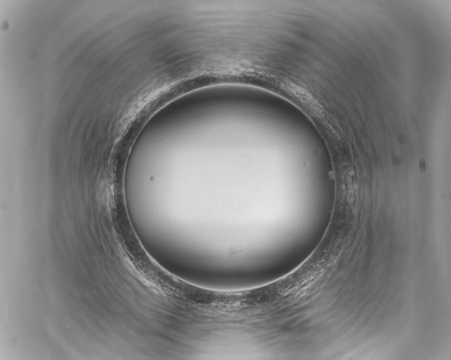 X0000060750728200511141158