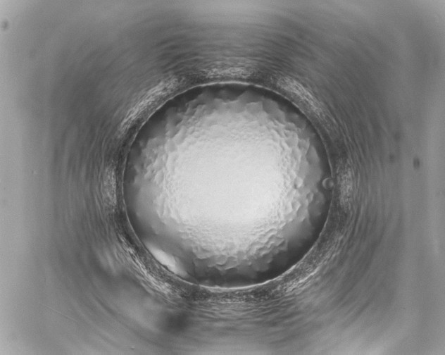 X0000060750729200511141158