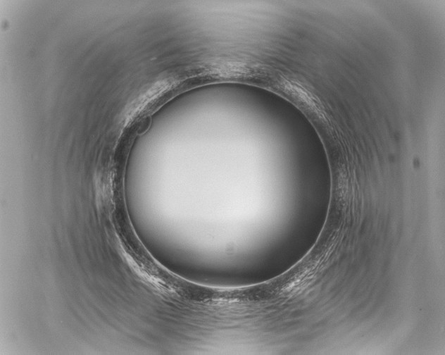 X0000060750730200511141158