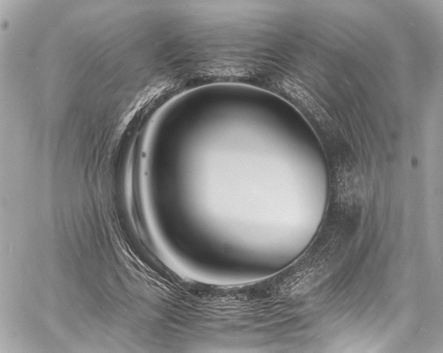 X0000060750731200511141158