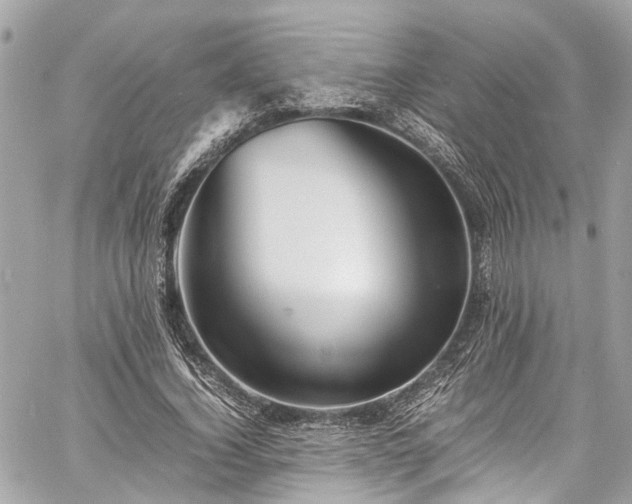 X0000060750732200511141158