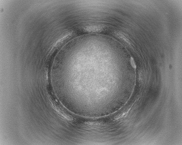 X0000060750733200511141158