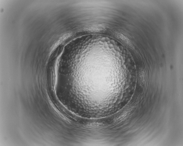 X0000060750734200511141158