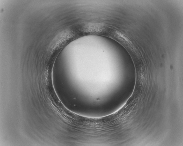 X0000060750735200511141158