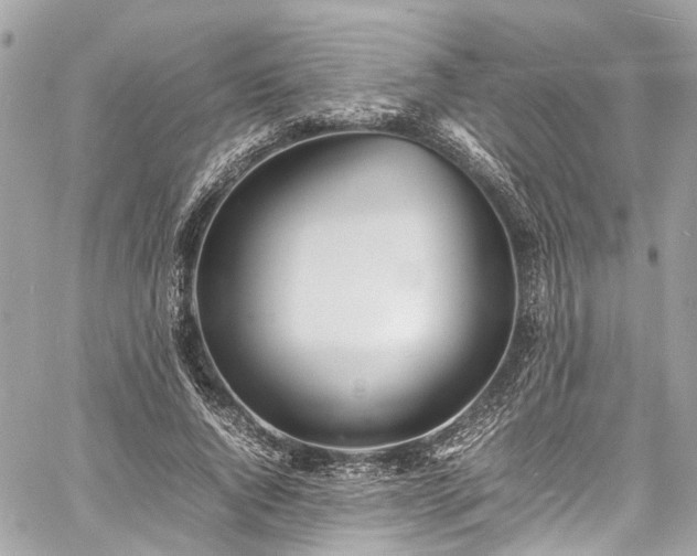 X0000060750736200511141158