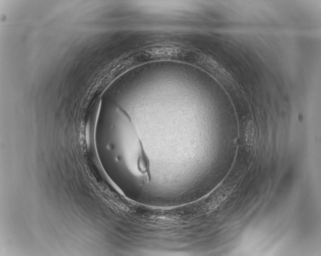 X0000060750737200511141158