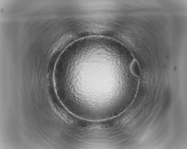 X0000060750738200511141158