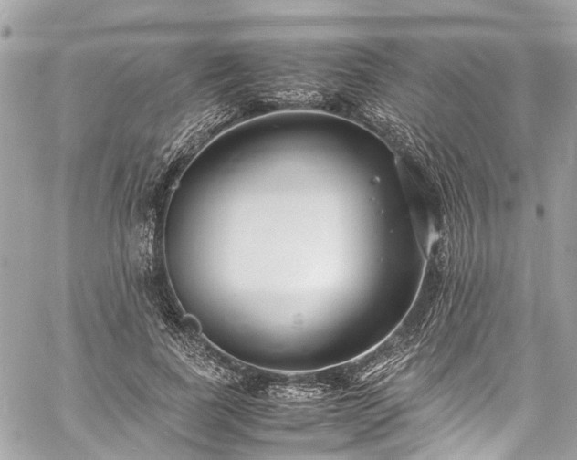 X0000060750739200511141158