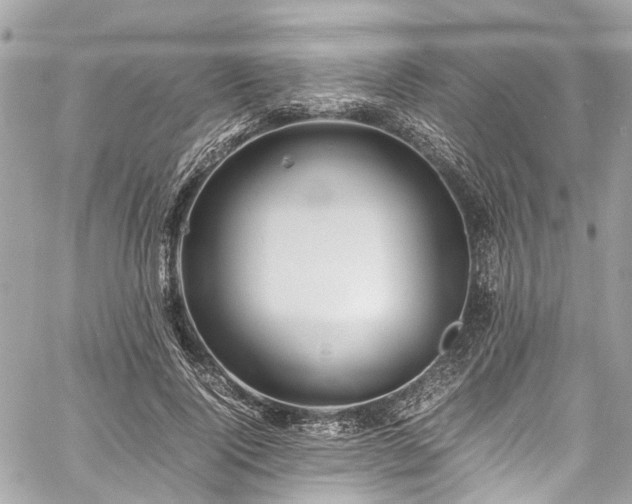 X0000060750740200511141158