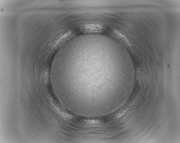 X0000060750741200511141158