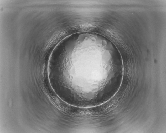 X0000060750742200511141158