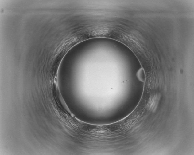 X0000060750743200511141158