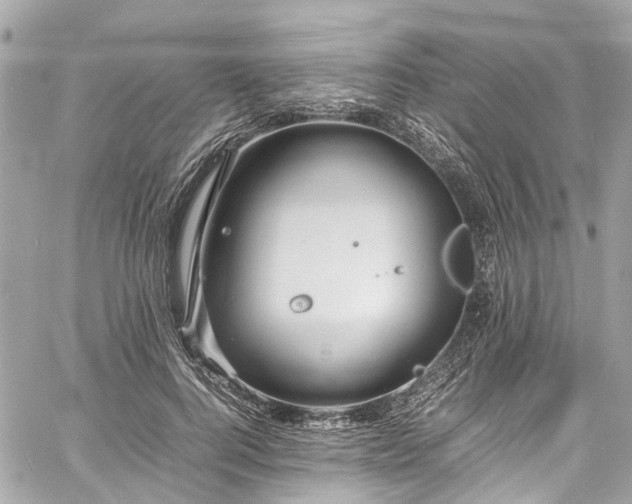 X0000060750744200511141158