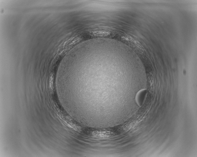 X0000060750745200511141158